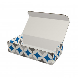 Aufrichteschachtel – FEFCO 0421